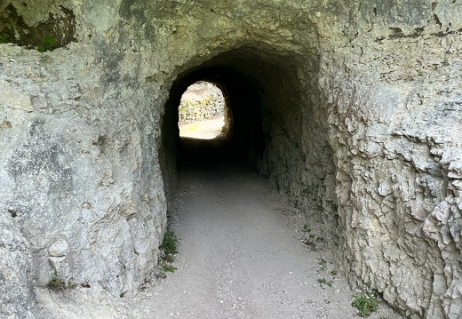 23-05-20 12-12-11 5491